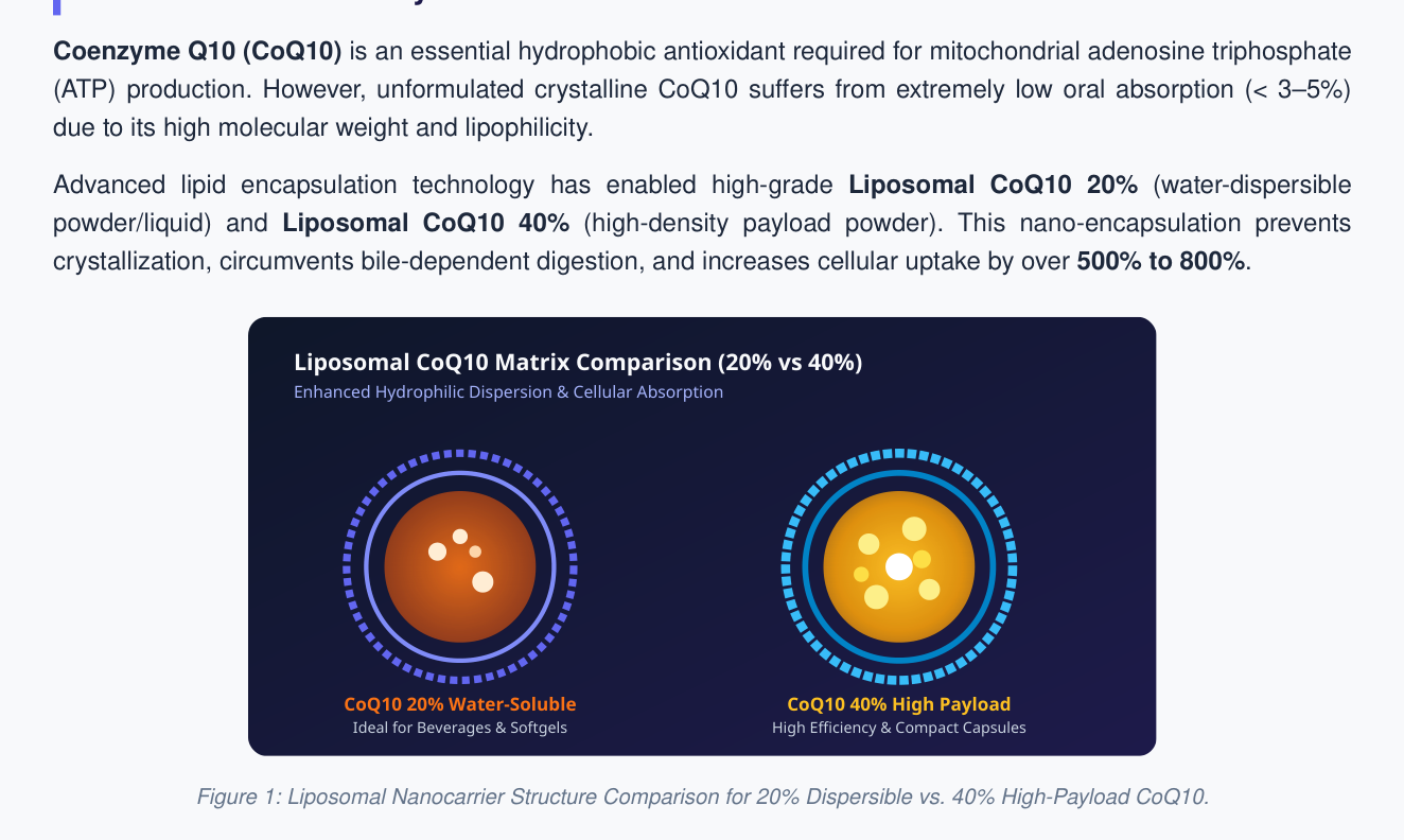 Liposomal nanocarrier structure comparison for 20% dispersible vs 40% high-payload CoQ10